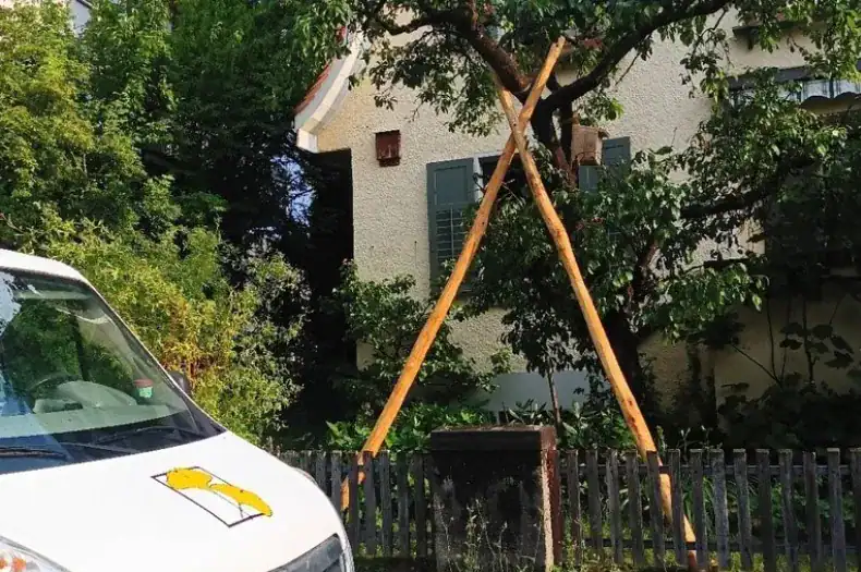 Beratung & Pflegekonzepte